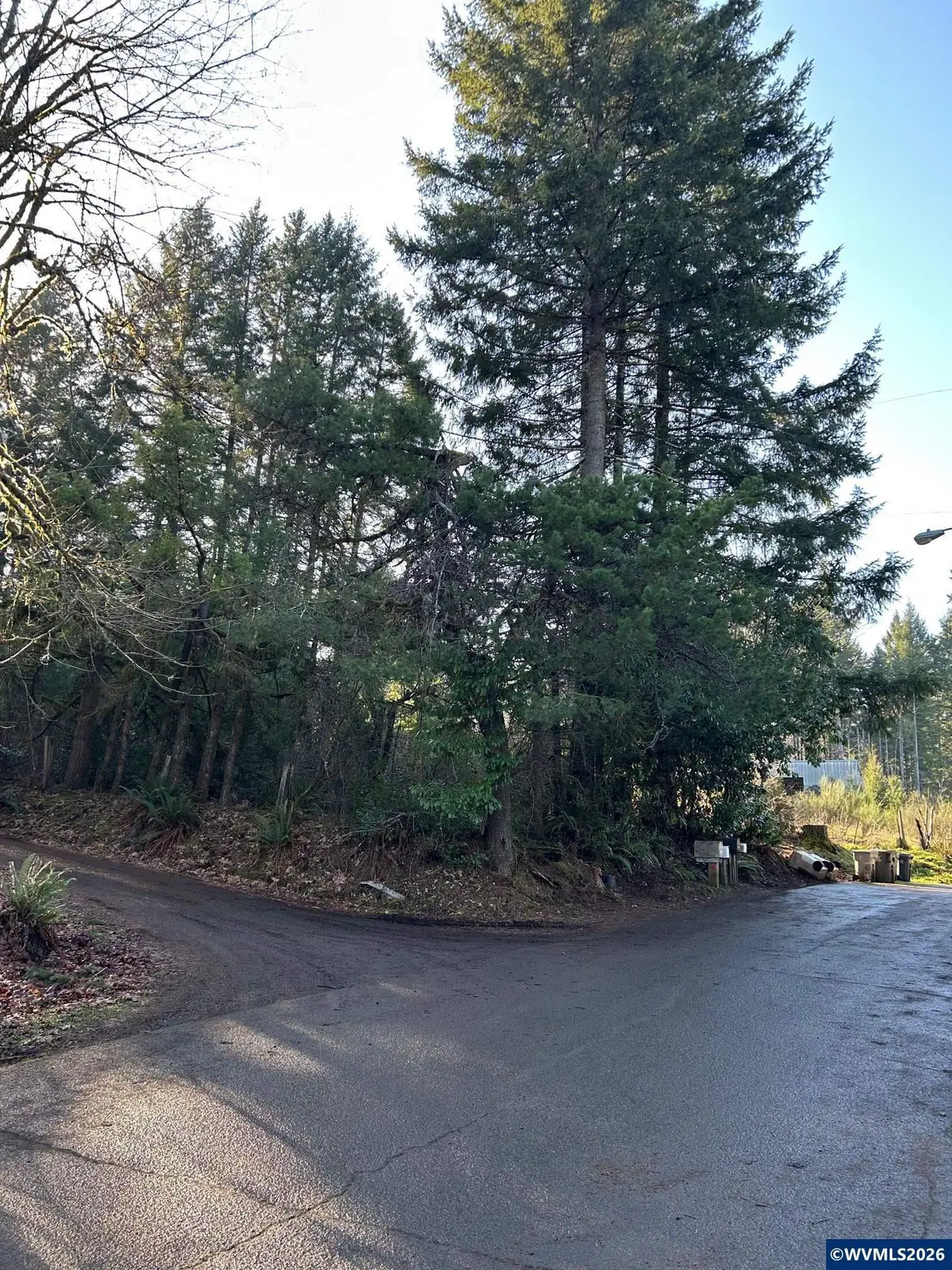 995 Parry Rd, Falls City, OR 97344 - #1