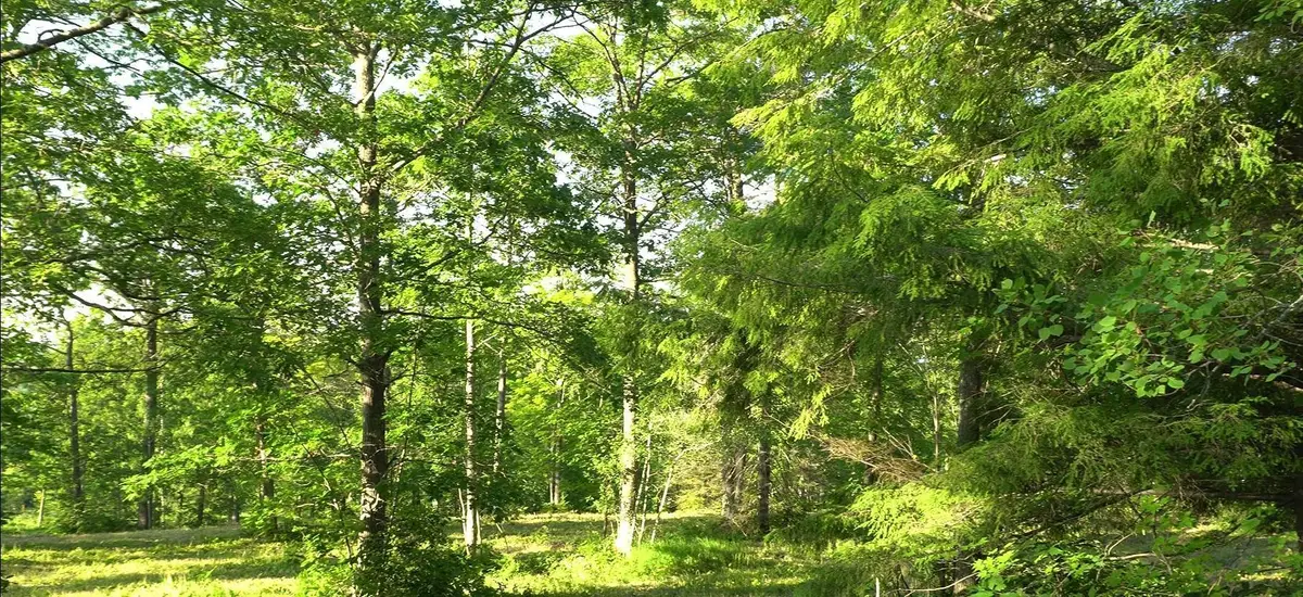 83xxx - Lot 6 Ashwabay Heights Road, Bayfield, WI 54814 - #1