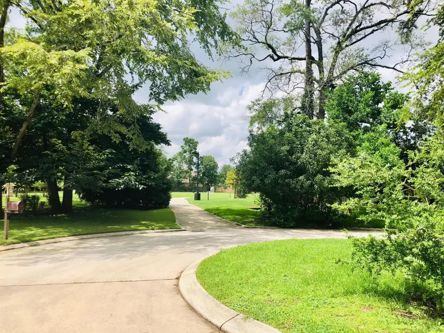 29021 Cherrywood Lane, Shenandoah, TX 77381 - #2