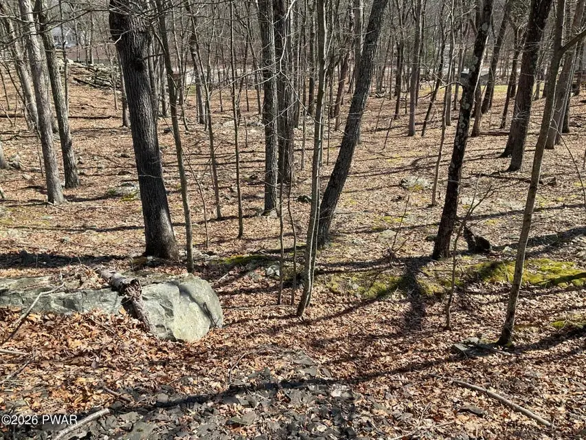 Lot 290 Mountain Top Drive, Dingmans Ferry, PA 18328 - #1