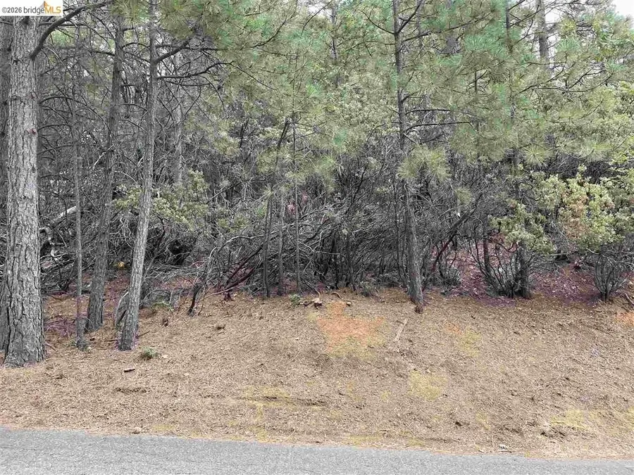0001 Stable, Sonora, CA 95370 - #2