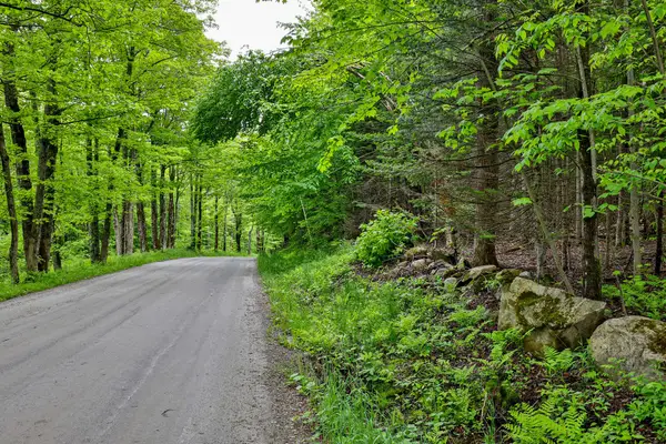 0 East Hill Road, Andover, VT 05143