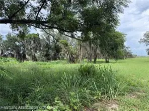 142 E Raymond Street, Avon Park, FL 33825