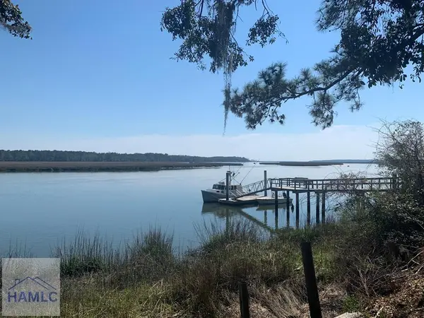 .50 AC Hidden Lagoon Lane Ne, Townsend, GA 31331