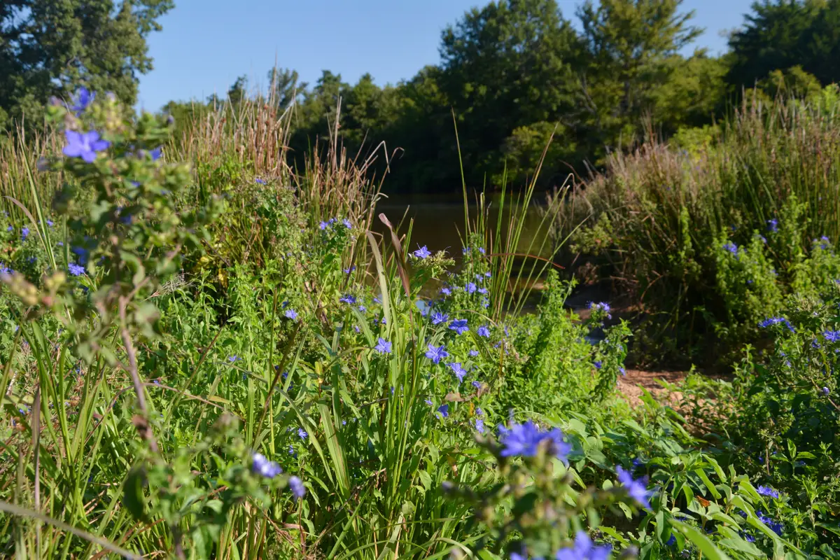 TBD Vz County Road 1820, Grand Saline, TX 75140 - Image #1