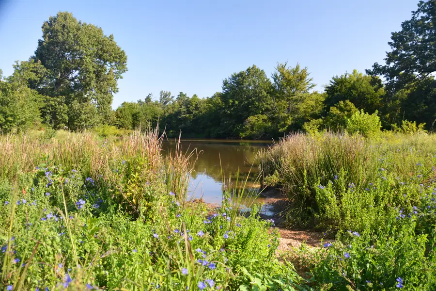 TBD Vz County Road 1820, Grand Saline, TX 75140 - Image #2