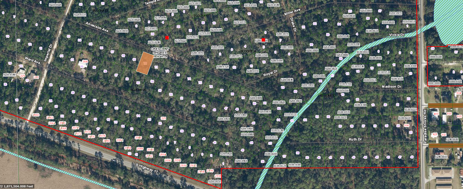 215 Anderson Avenue, Crescent City, FL 32112 - #3