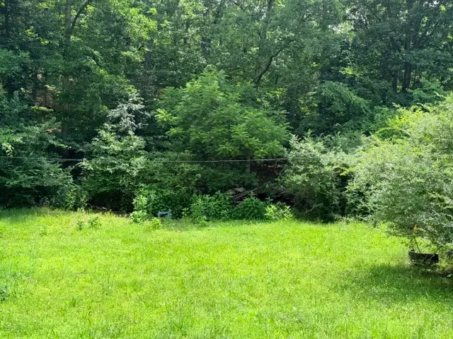 00 NE 6th Street, Mill Spring, MO 63952 - #2