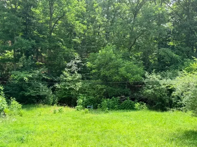00 NE 6th Street, Mill Spring, MO 63952 - #3