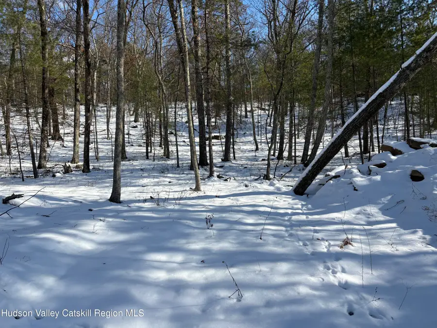 Tbd Route 28a, West Hurley, NY 12491 - #3
