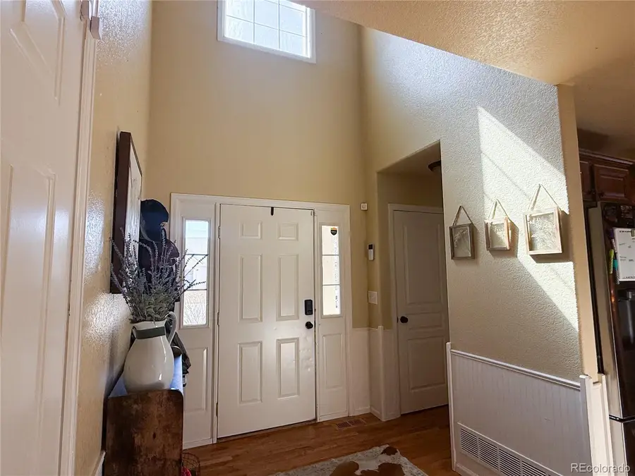 894 Durum Street, Windsor, CO 80550 - #2