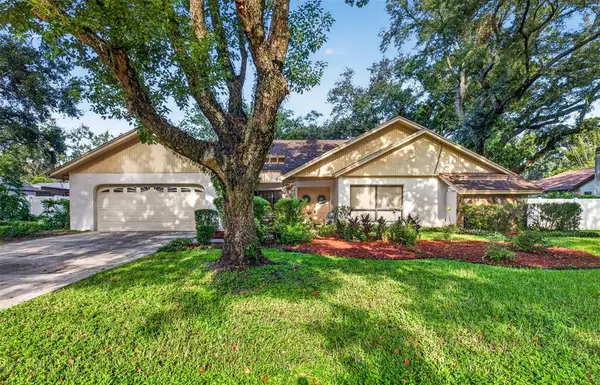 10918 Gillette Avenue, TAMPA, FL 33617