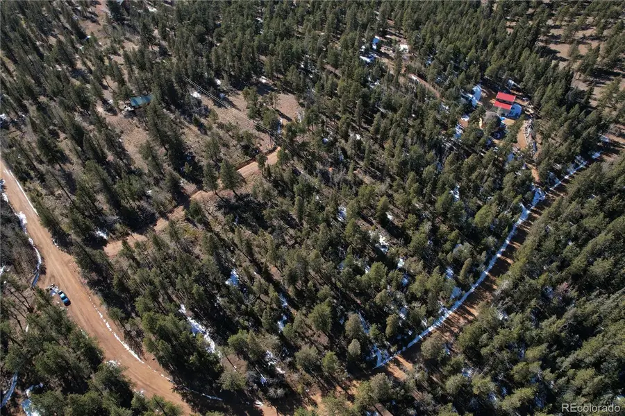 927 Forest Drive, Bailey, CO 80421 - #2