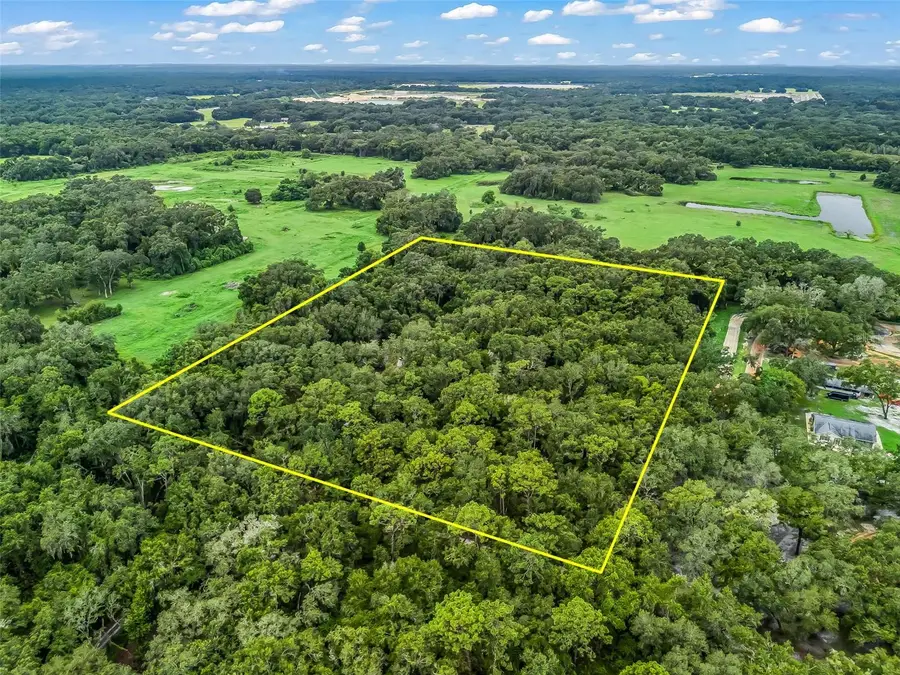 9400 SW 21st Street, Bushnell, FL 33513 - Image #3