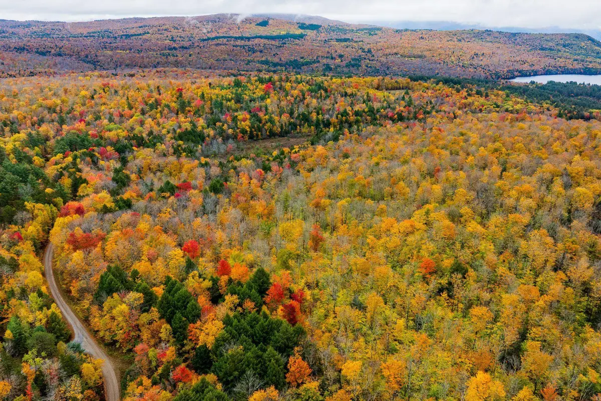 Lot 1 Bear Tree Road, Orford, NH 03777 - #1