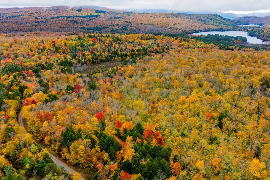 Lot 1 Bear Tree Road, Orford, NH 03777 - #2