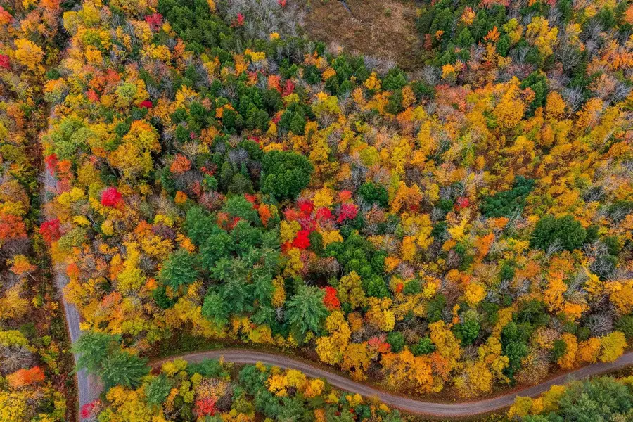 Lot 1 Bear Tree Road, Orford, NH 03777 - #3