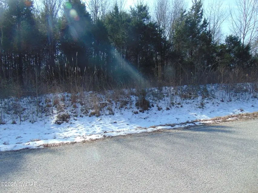 449 Saint John Rd, Denmark, TN 38391 - #1