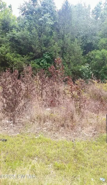 449 Saint John Rd, Denmark, TN 38391 - #3