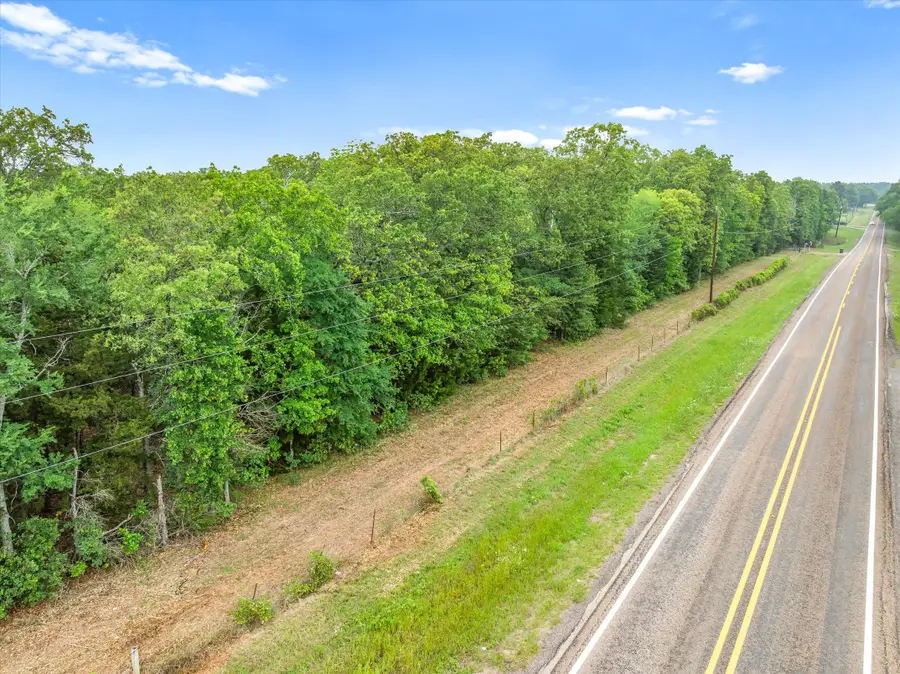 TBD Fm 773, Ben Wheeler, TX 75754 - #2