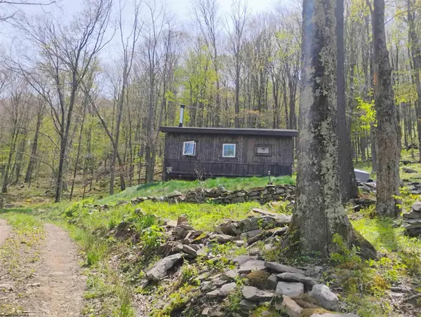 1373 Rocky Road, Harman, WV 26270