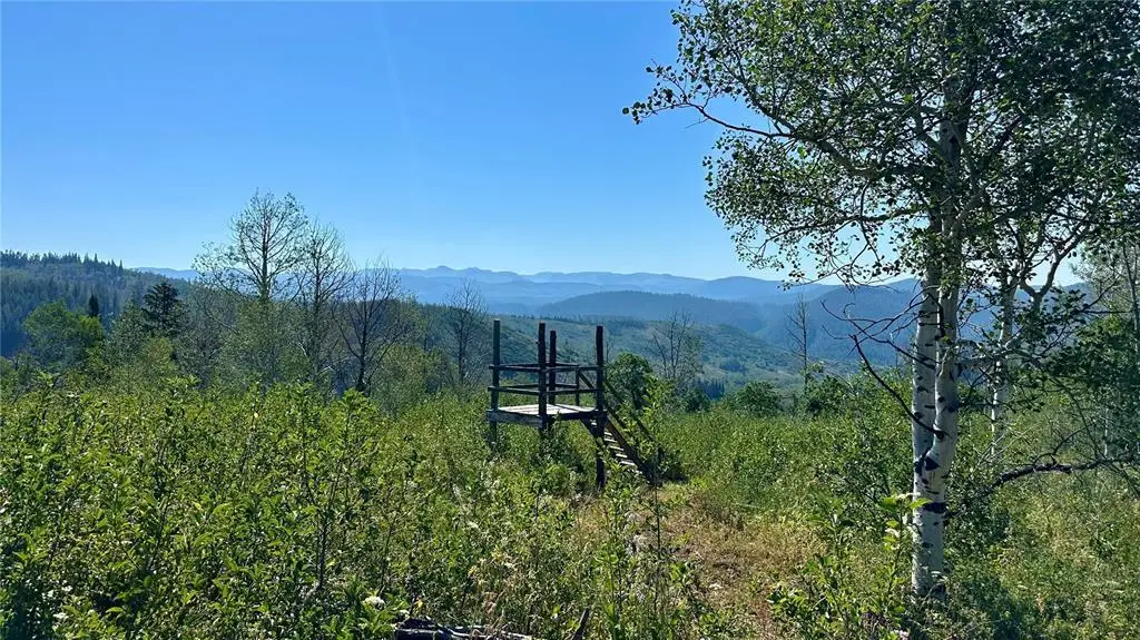 56500 Olive Street, Clark, CO 80428 - #1