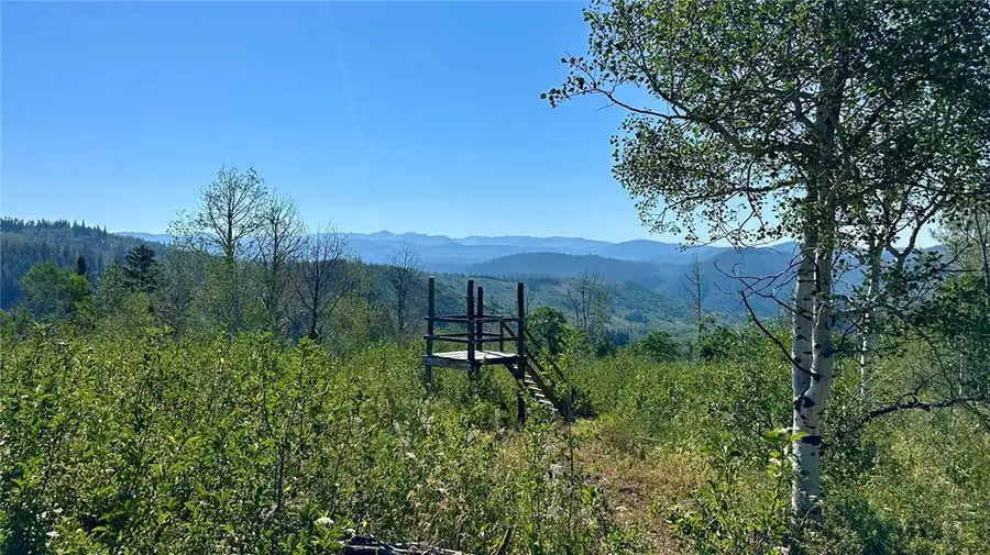 56500 Olive Street, Clark, CO 80428 - #2