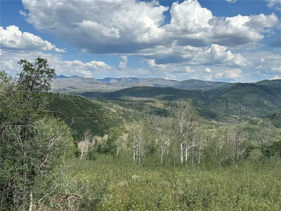56500 Olive Street, Clark, CO 80428 - #3