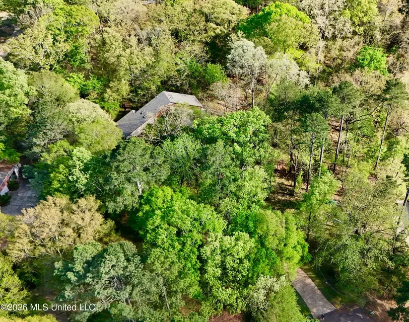 197 Skyline Drive, Clinton, MS 39056 - #2
