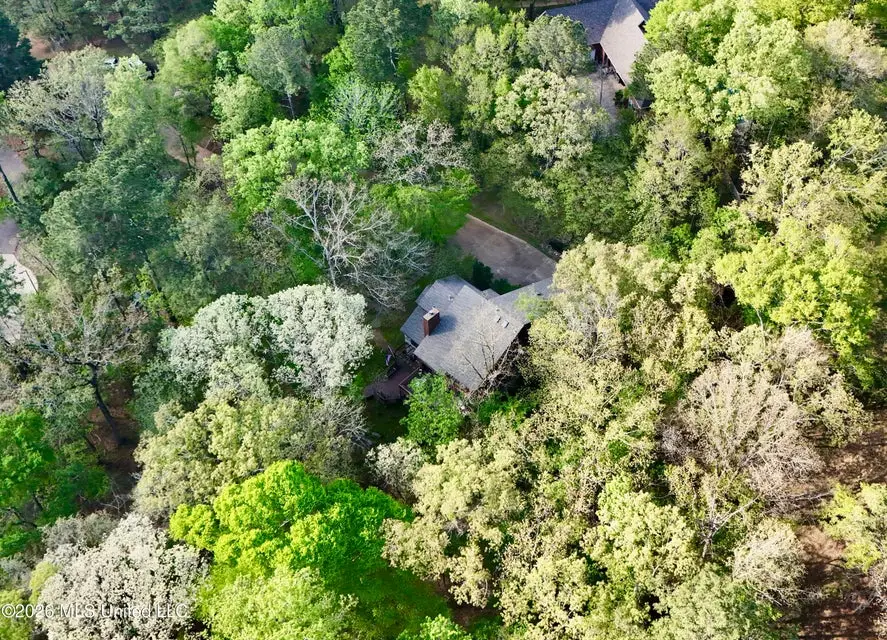 197 Skyline Drive, Clinton, MS 39056 - #3