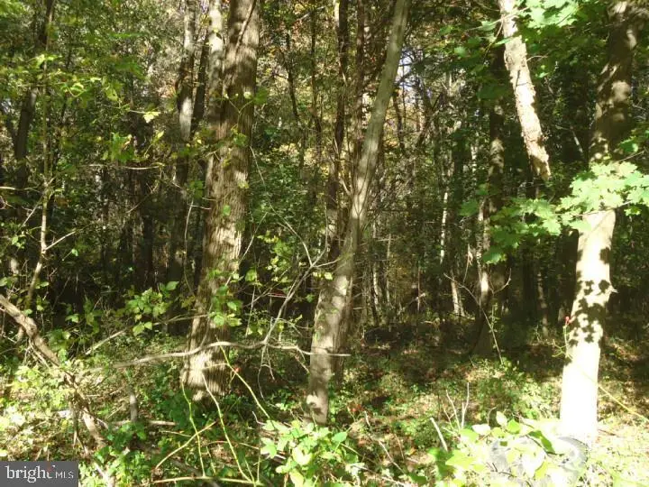 752 Yorketown Rd, Pilesgrove, NJ 08098 - Image #2