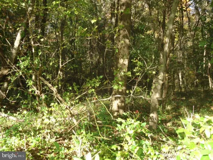 752 Yorketown Rd, Pilesgrove, NJ 08098 - Image #3