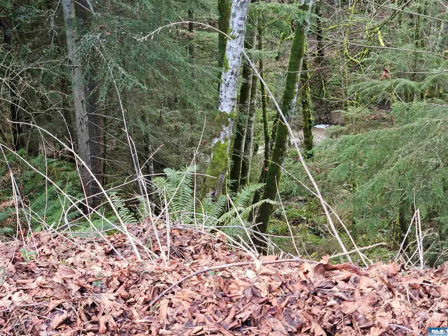 9999 E 5th St Lots 9-12 Blk 186 #9-12, Port Angeles, WA 98362 - #3