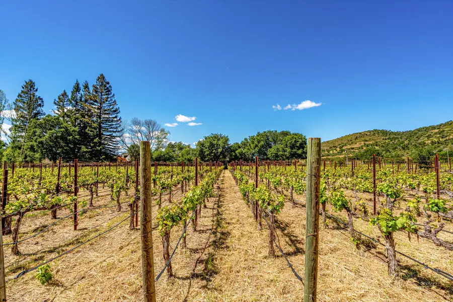 1040 Mount George Avenue, Napa, CA 94558 - #2