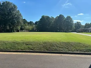 9115 LOT 30 RIVEREDGE DR, Cordova, TN 38018 - Image #3