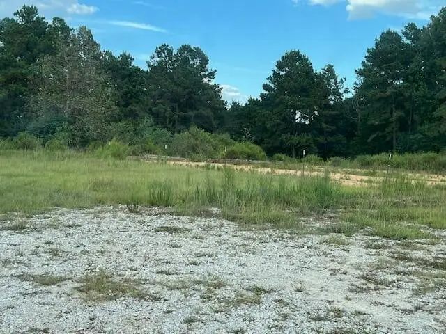 Greentown Road, Deridder, LA  - Image #1