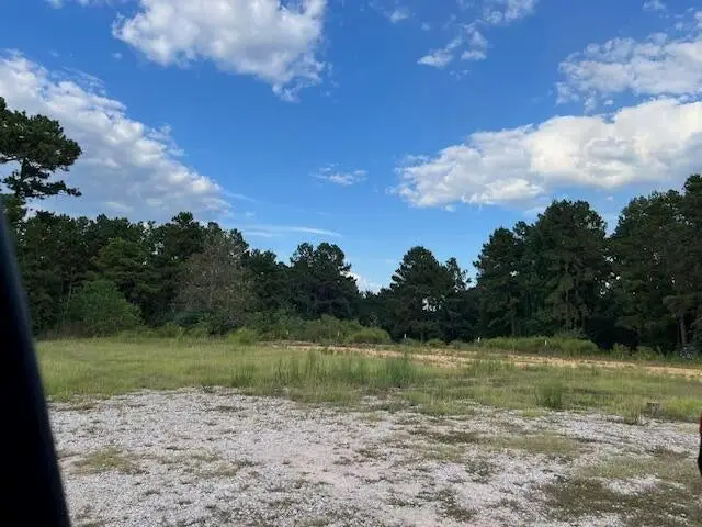 Greentown Road, Deridder, LA  - Image #2