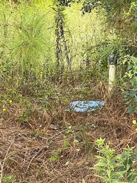 Greentown Road, Deridder, LA  - Image #3