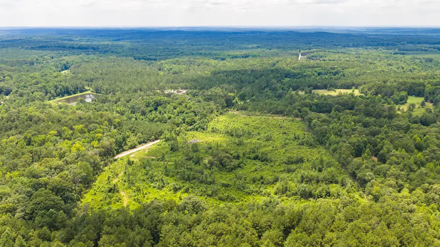 4105 County Road 22, Waverly, AL 36879 - #3