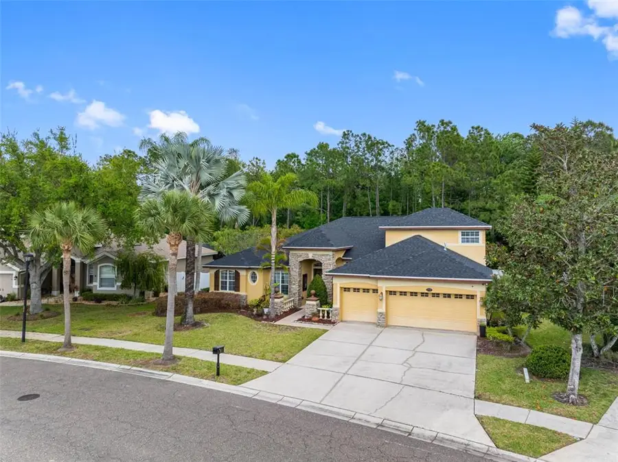 16750 Ivy Lake Drive, Odessa, FL 33556 - #2