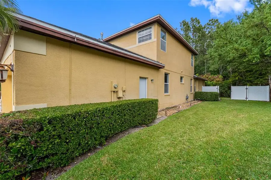16750 Ivy Lake Drive, Odessa, FL 33556 - #3