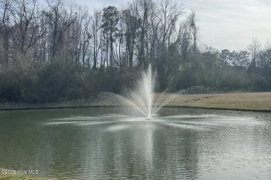 63 Waterfall Lane, Whiteville, NC 28472 - #3