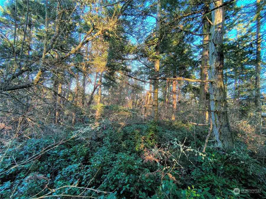 0 Sherman, Port Townsend, WA 98368 - Image #2