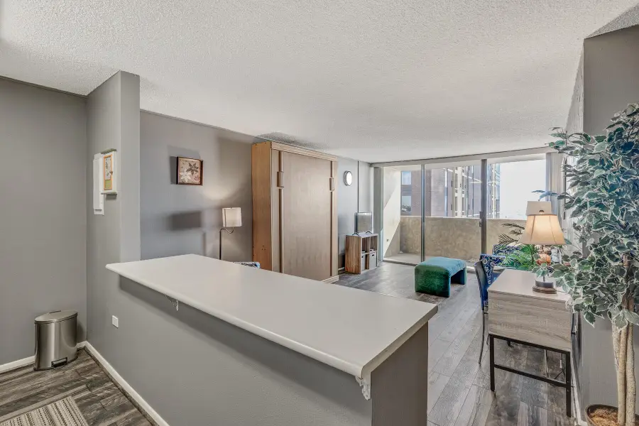 1020 15th Street #19-M, Denver, CO 80220 - #2