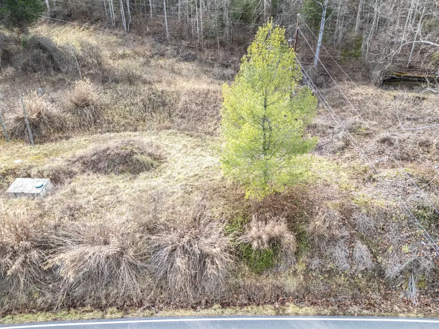 448 State Highway 995, Grahn, KY 41164 - #3