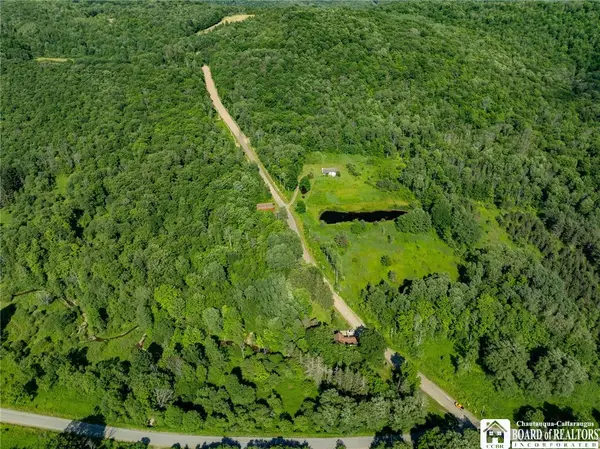 0 Morgan Hollow Road, Franklinville, NY 14737