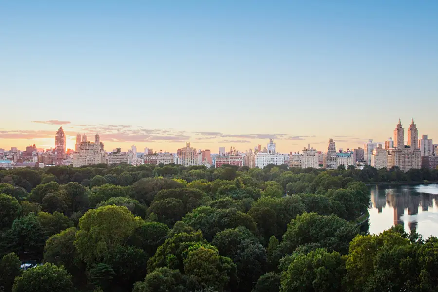 1040 5th Avenue #16, Manhattan, NY 10028 - #2