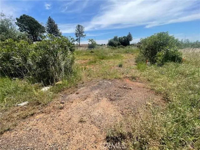 4624 Skyway, Paradise, CA 95969 - #1