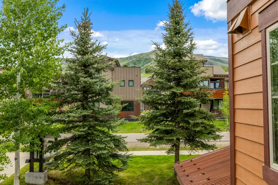 2545 Cattle Kate Circle #3207, Steamboat Springs, CO 80487 - Image #3