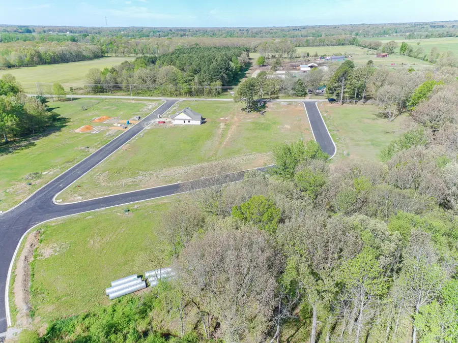 103 Gordo Drive, Brookland, AR 72417 - #2